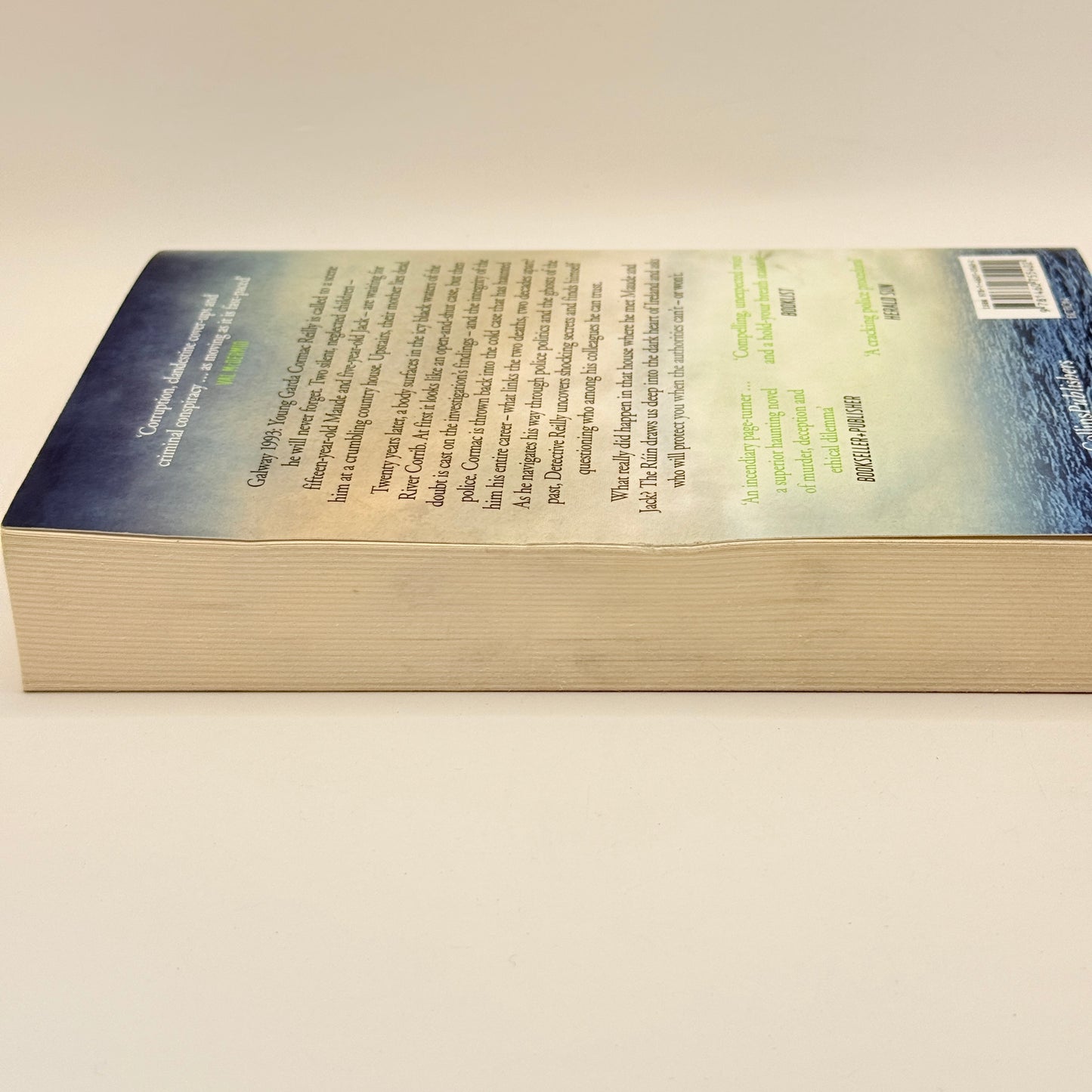 The Ruin by Dervla McTiernan