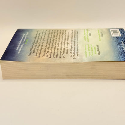 The Ruin by Dervla McTiernan
