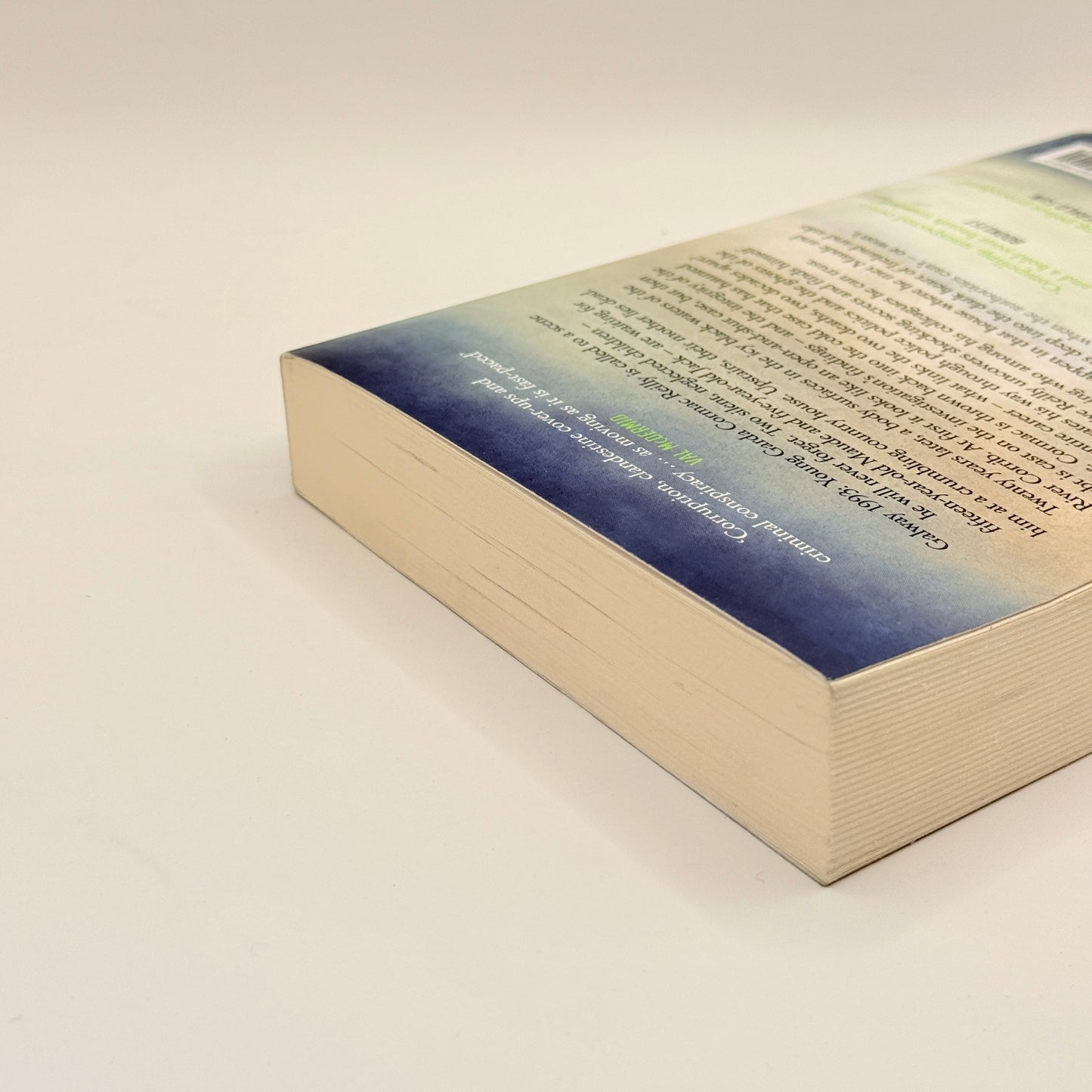 The Ruin by Dervla McTiernan