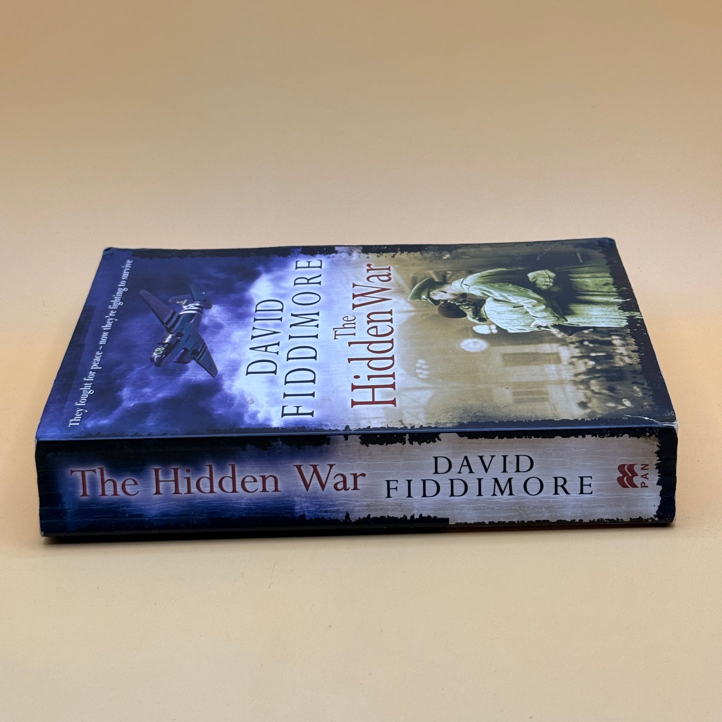 The Hidden War by David Fiddimore