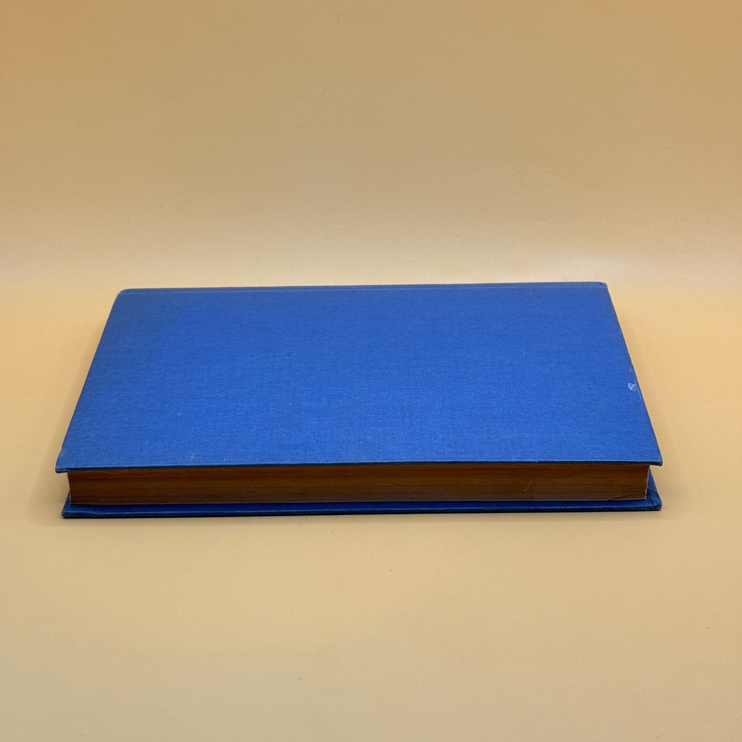 Secret of the Forest by H. J. Goodyer
