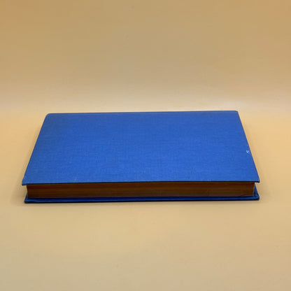 Secret of the Forest by H. J. Goodyer