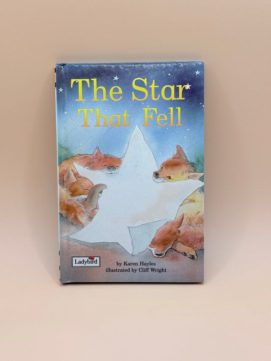 The Star That Fell by Karen Hayles