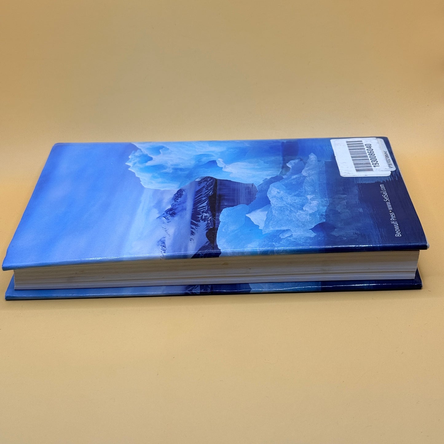 Into the Light: A Family’s Epic Journey by Dave & Jaja Martin