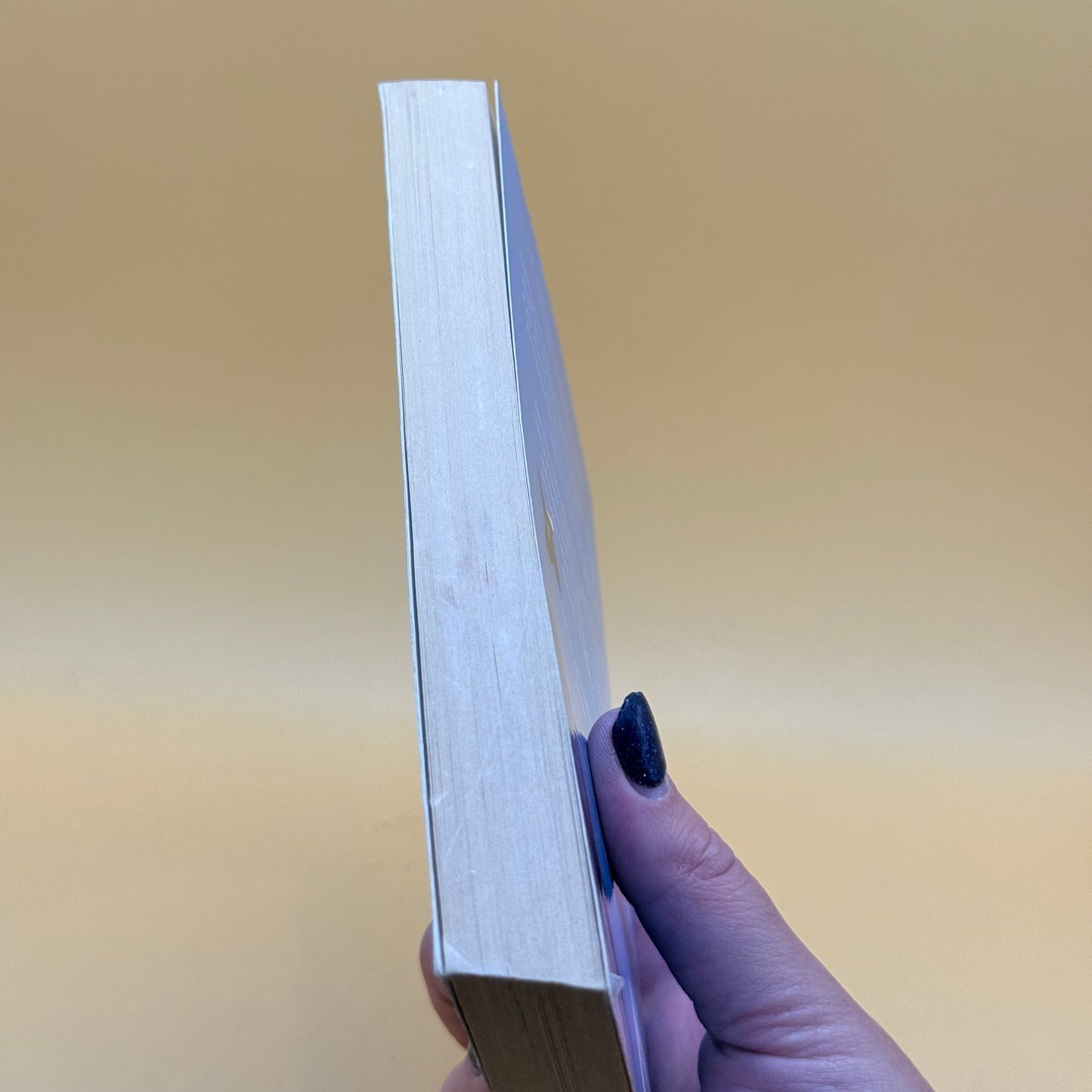 Liars and Saints by Maile Meloy