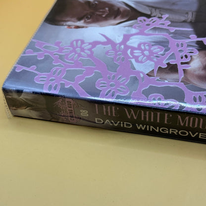The White Mountain by David Wingrove