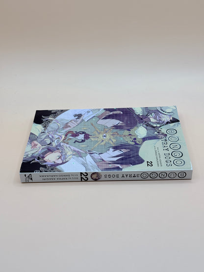 Bungo Stray Dogs Vol. 22 by Kafka Asagiri