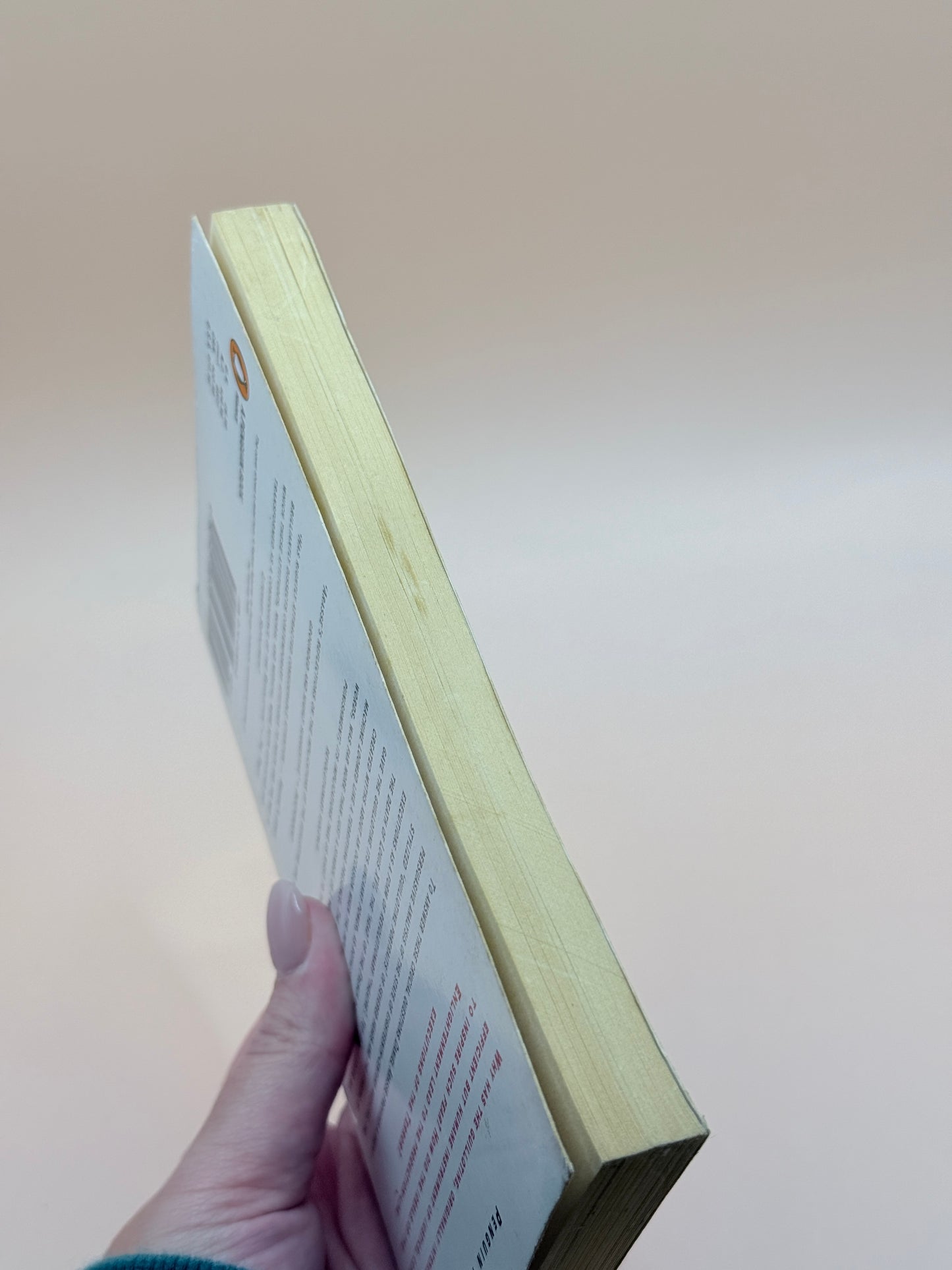 The Guillotine and the Terror by Daniel Arasse