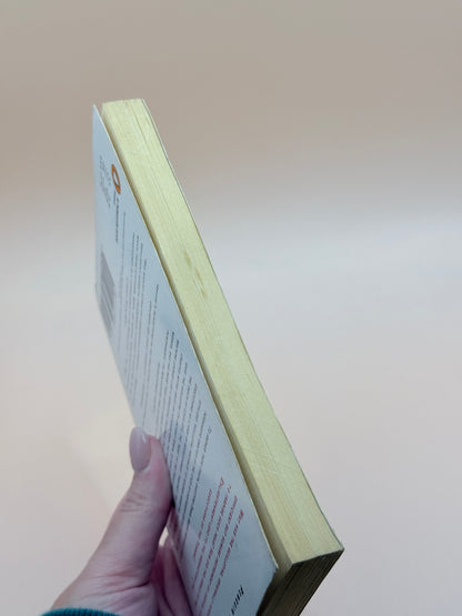 The Guillotine and the Terror by Daniel Arasse