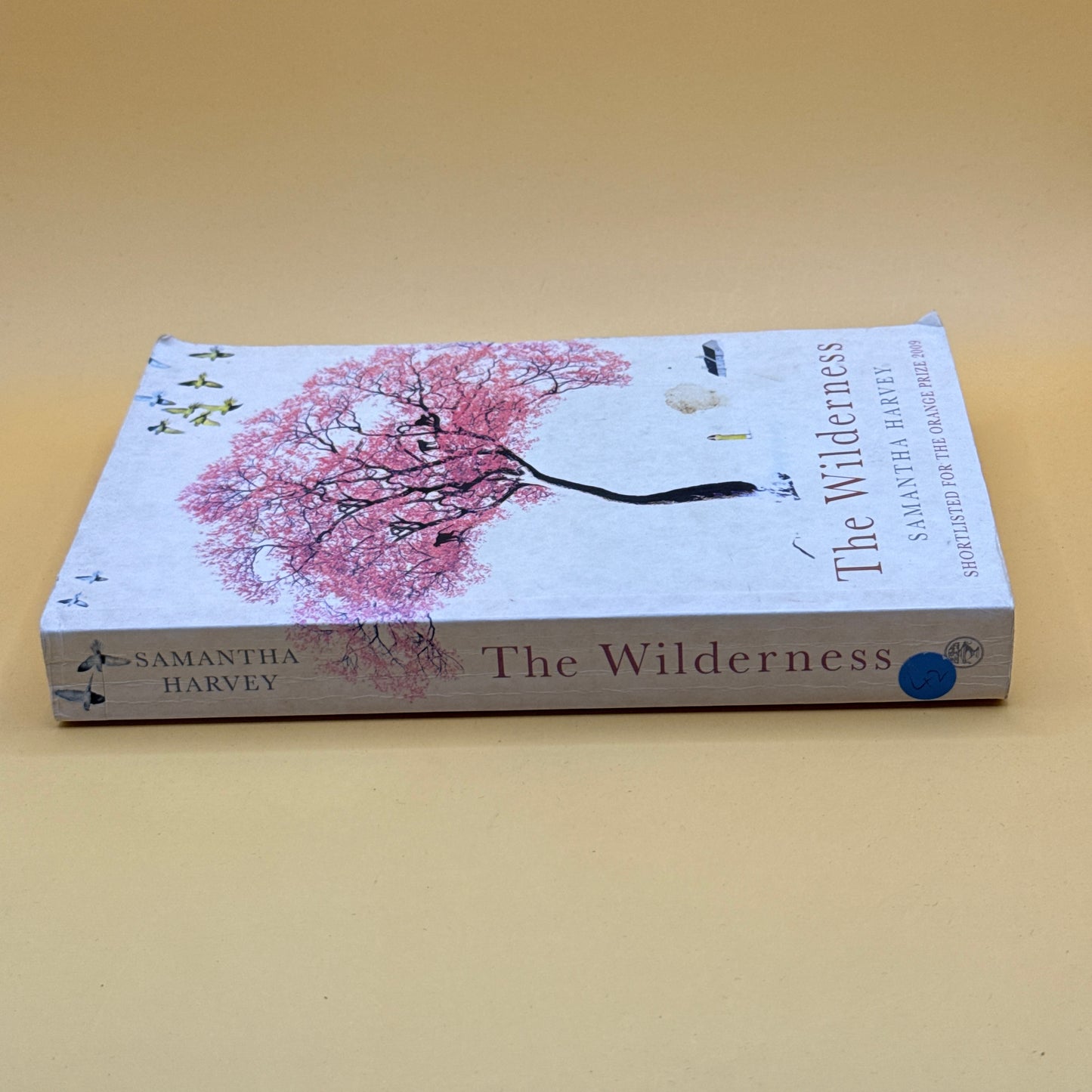 The Wilderness by Samantha Harvey