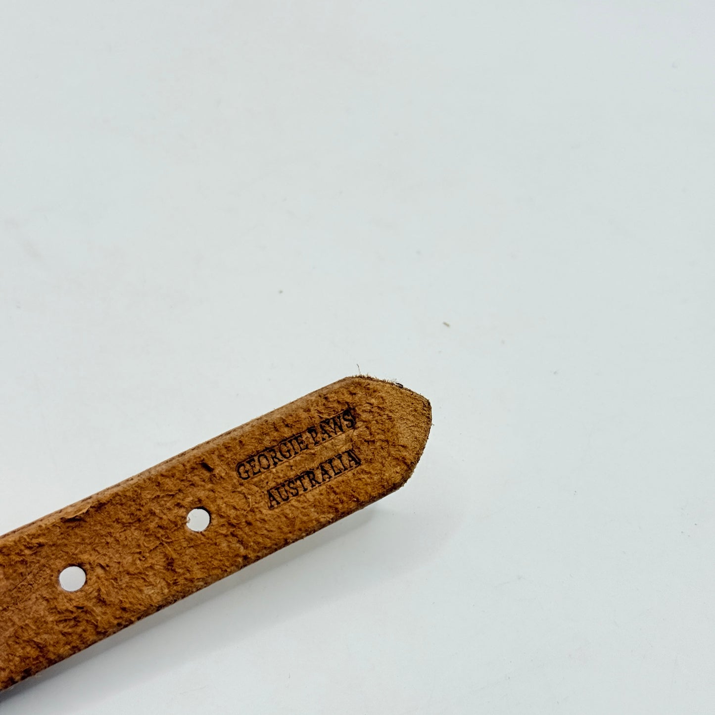 Georgie Paws Ethel Polo Dog Collar