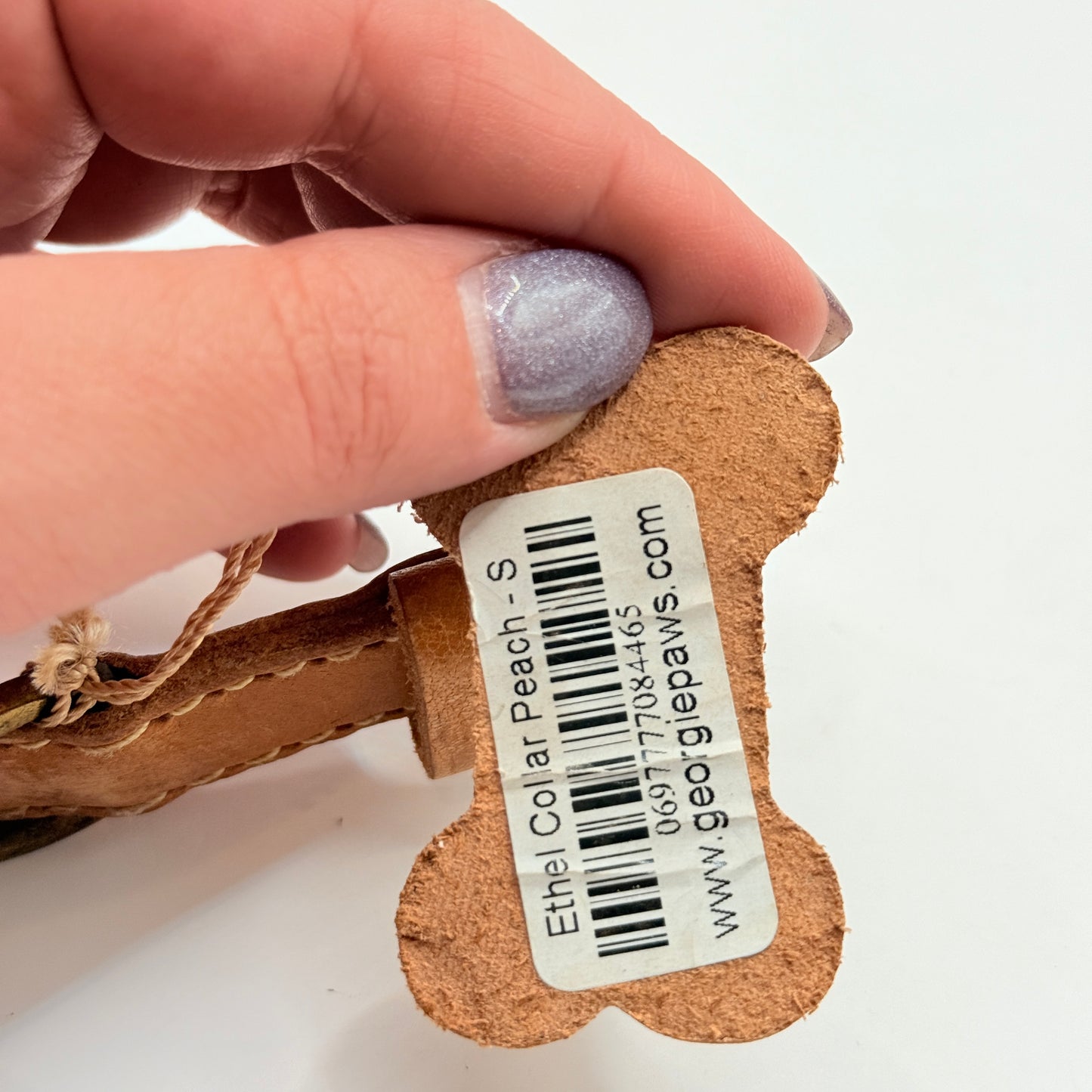 Georgie Paws Ethel Polo Dog Collar