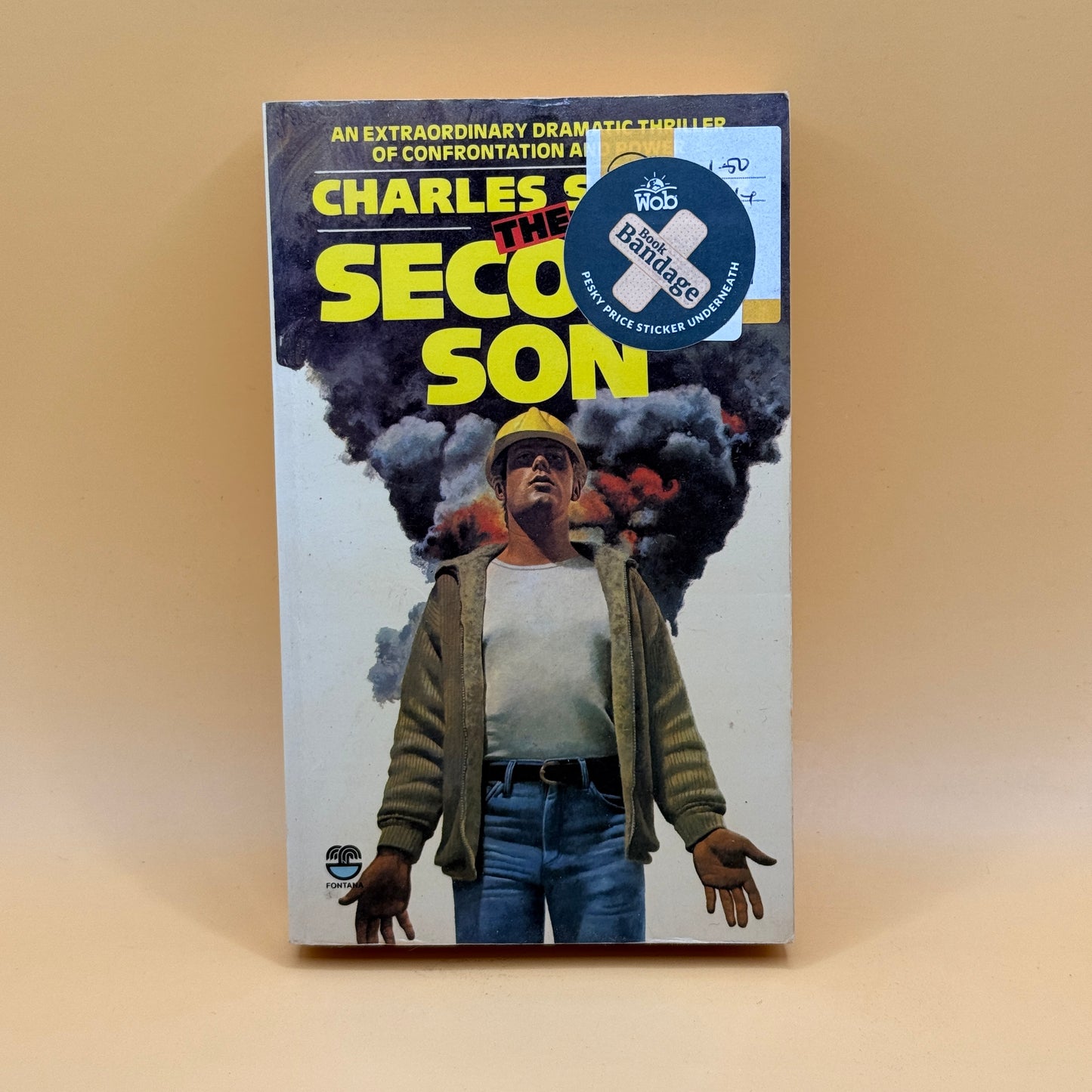 The Second Son by Charles Sailor