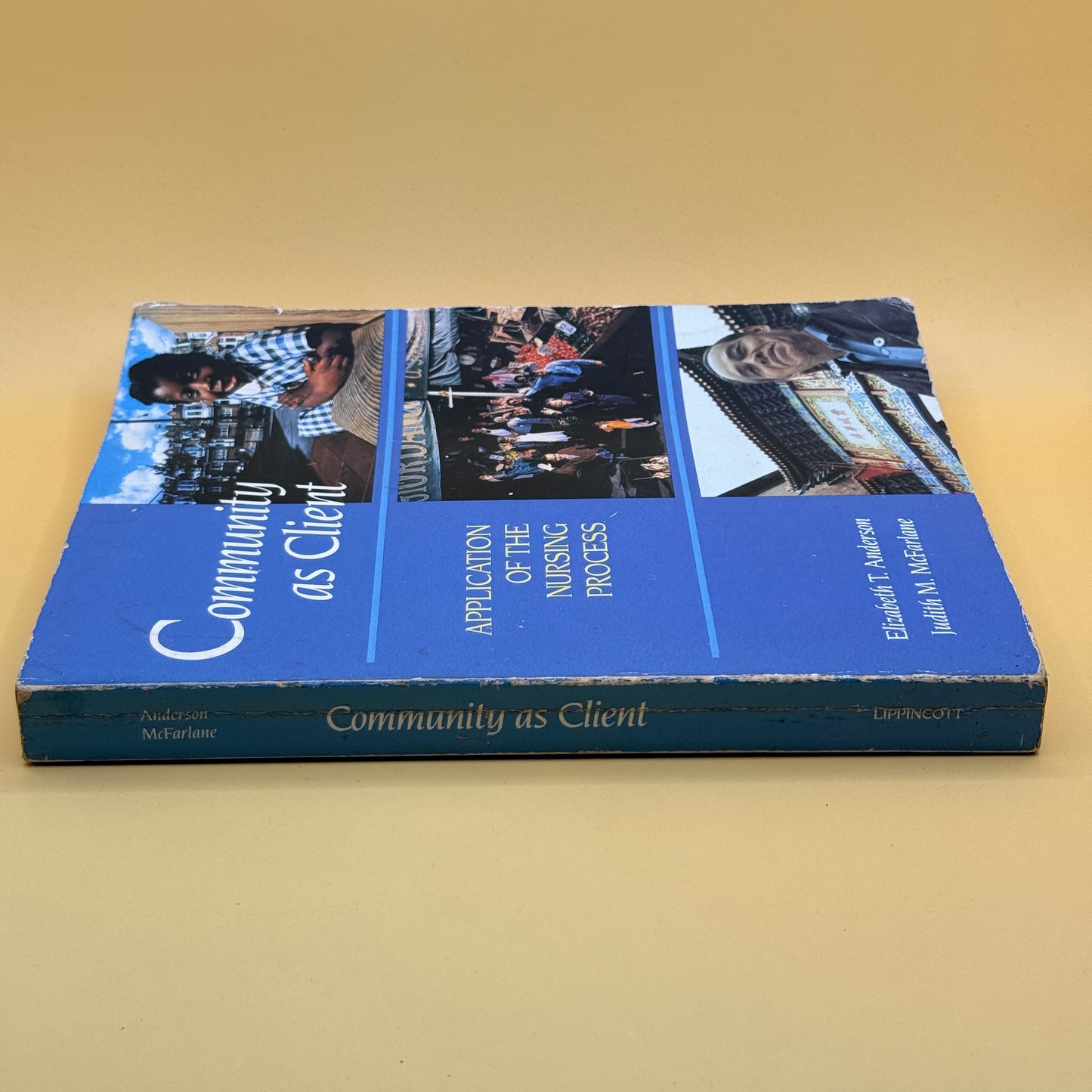 Community as Client: Application of the Nursing Process by Elizabeth T. Anderson and Judith M. McFarlane