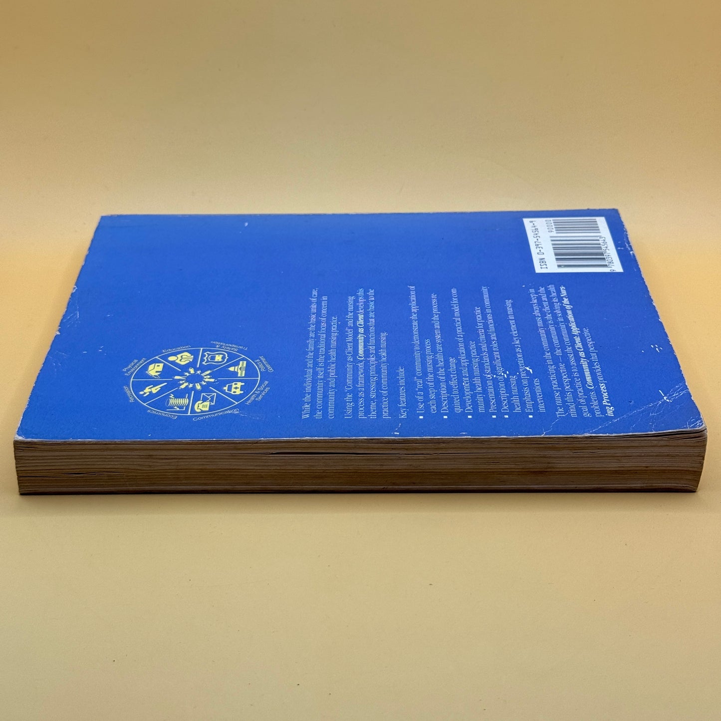 Community as Client: Application of the Nursing Process by Elizabeth T. Anderson and Judith M. McFarlane
