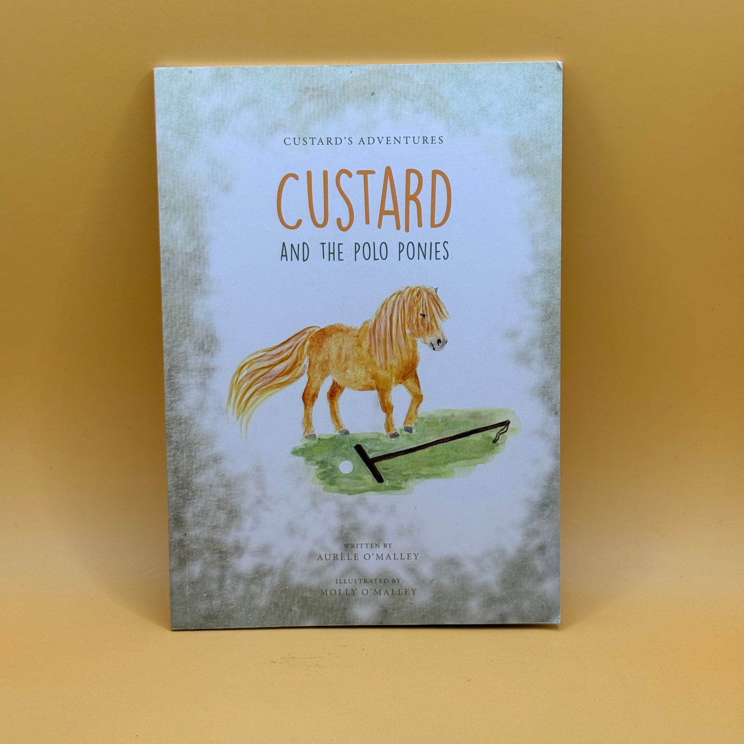 Custard and the Polo Ponies by Aurele O’Malley