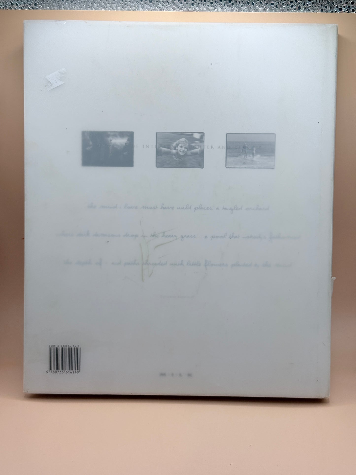 Beaufighter at War – Chaz Bowyer