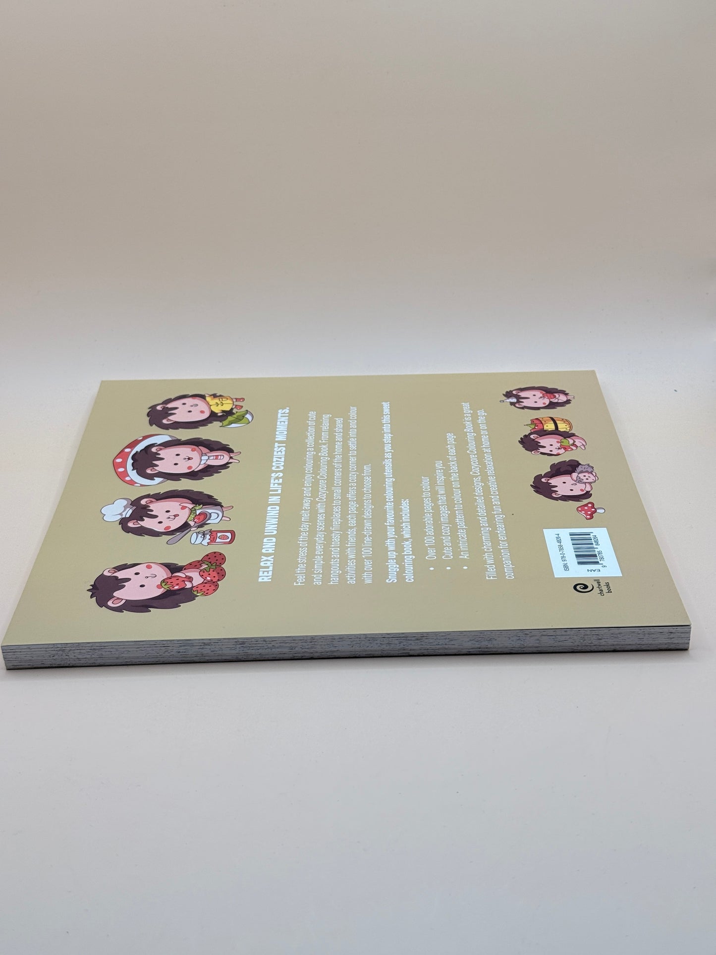 Cozycore Colouring Book