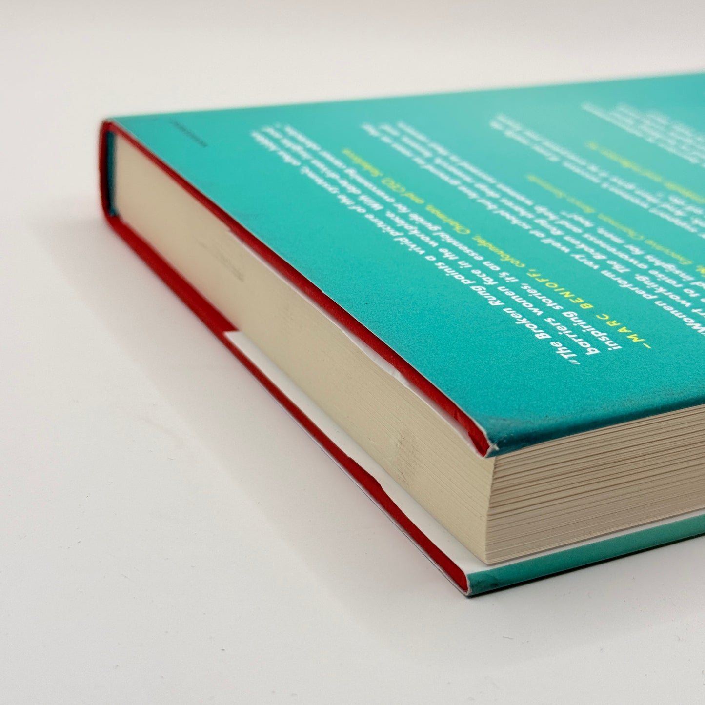 The Broken Rung by Kweilin Ellingrud, Lareina Yee, and María del Mar Martínez