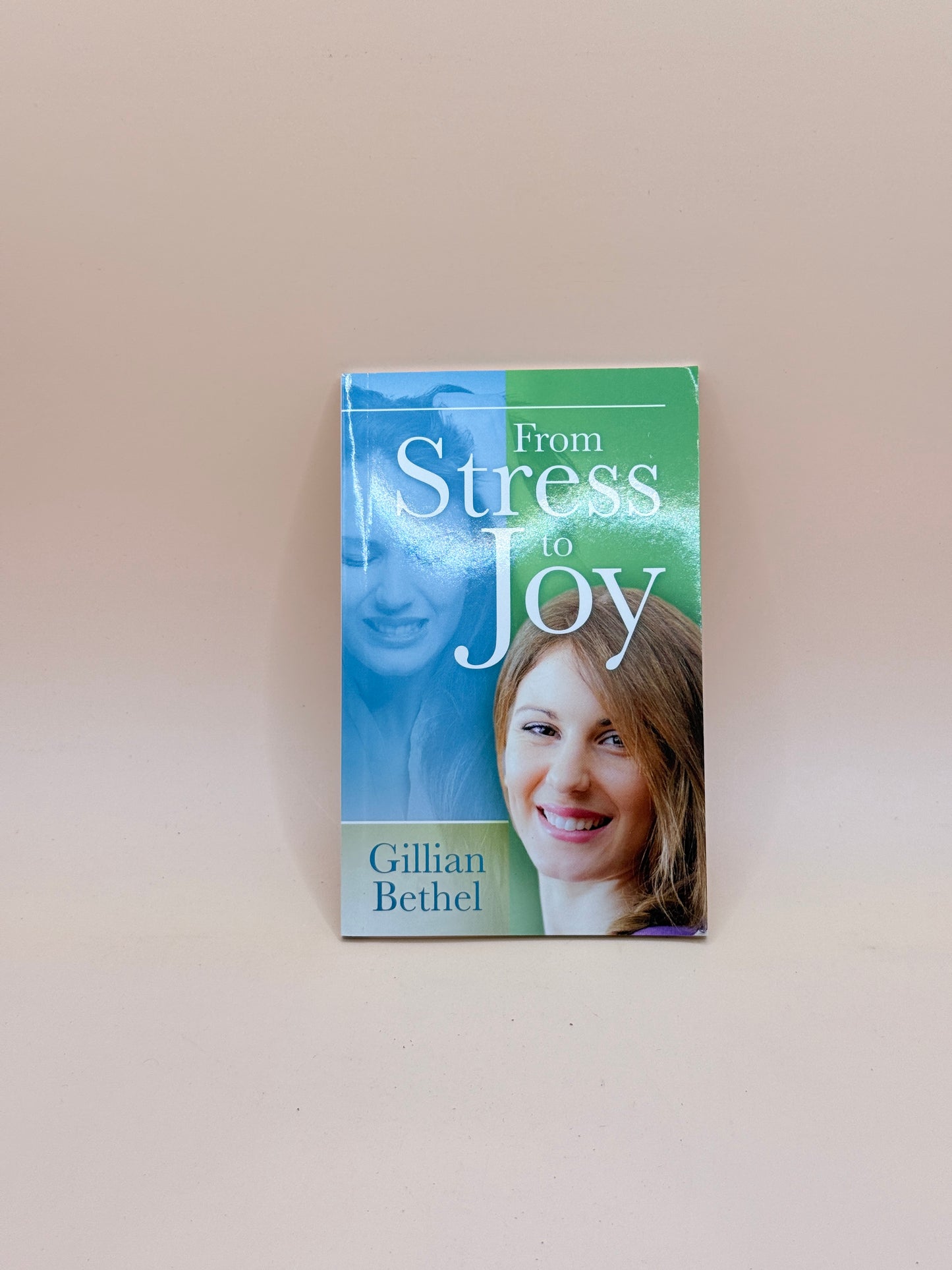 From Stress to Joy by Gillian Bethel