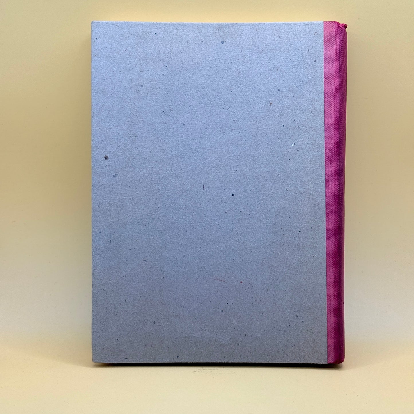 Champion Book for Boys (Dean & Son Ltd.)