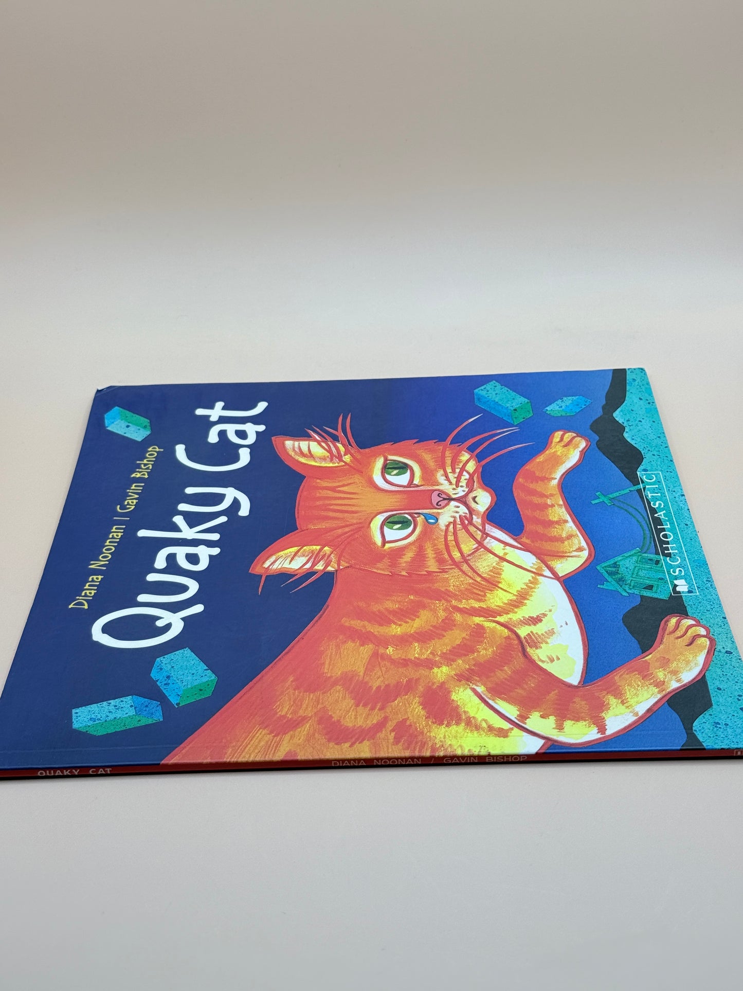Quaky Cat by Diana Noonan