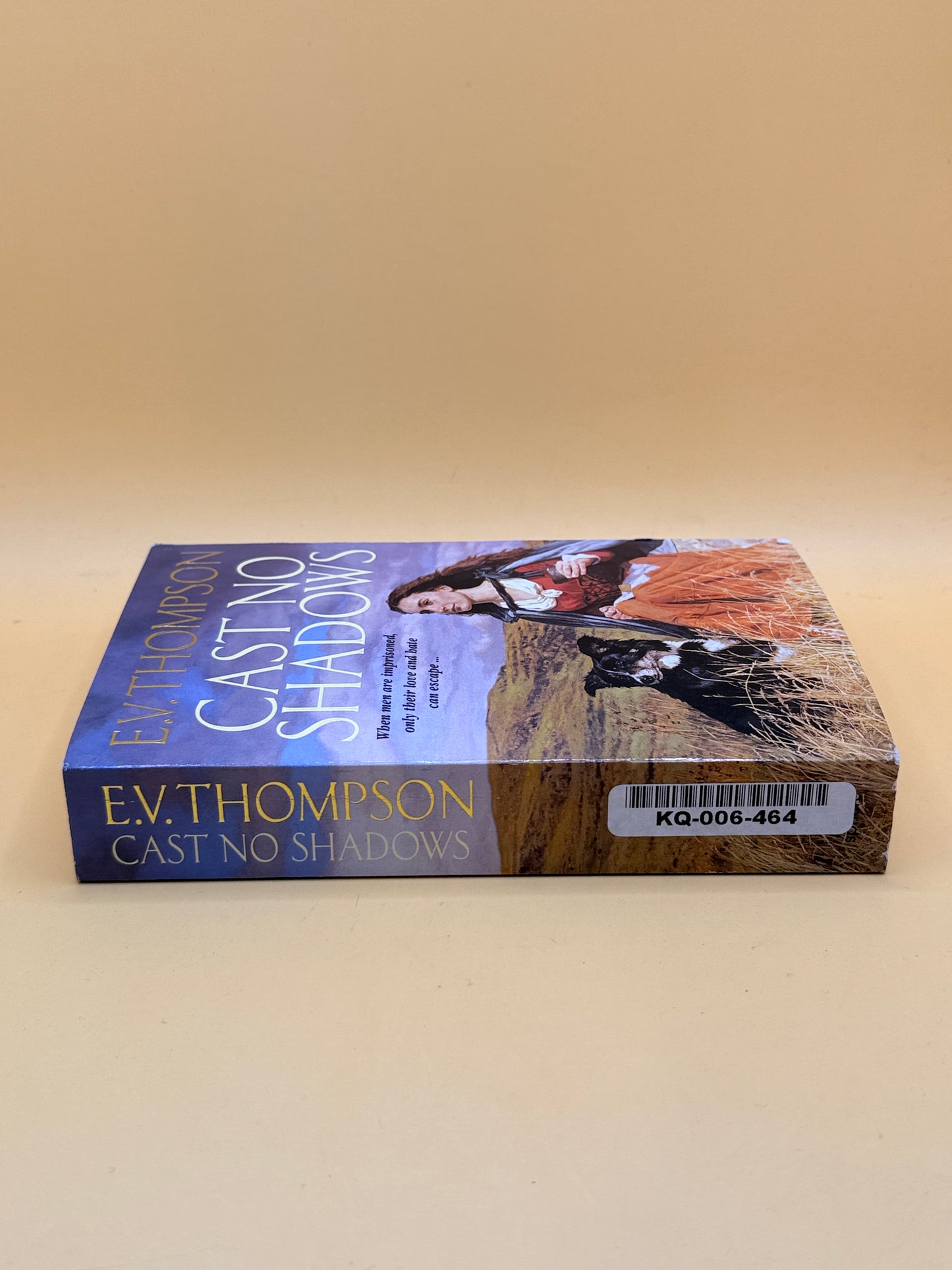 Cast No Shadows by E.V. Thompson