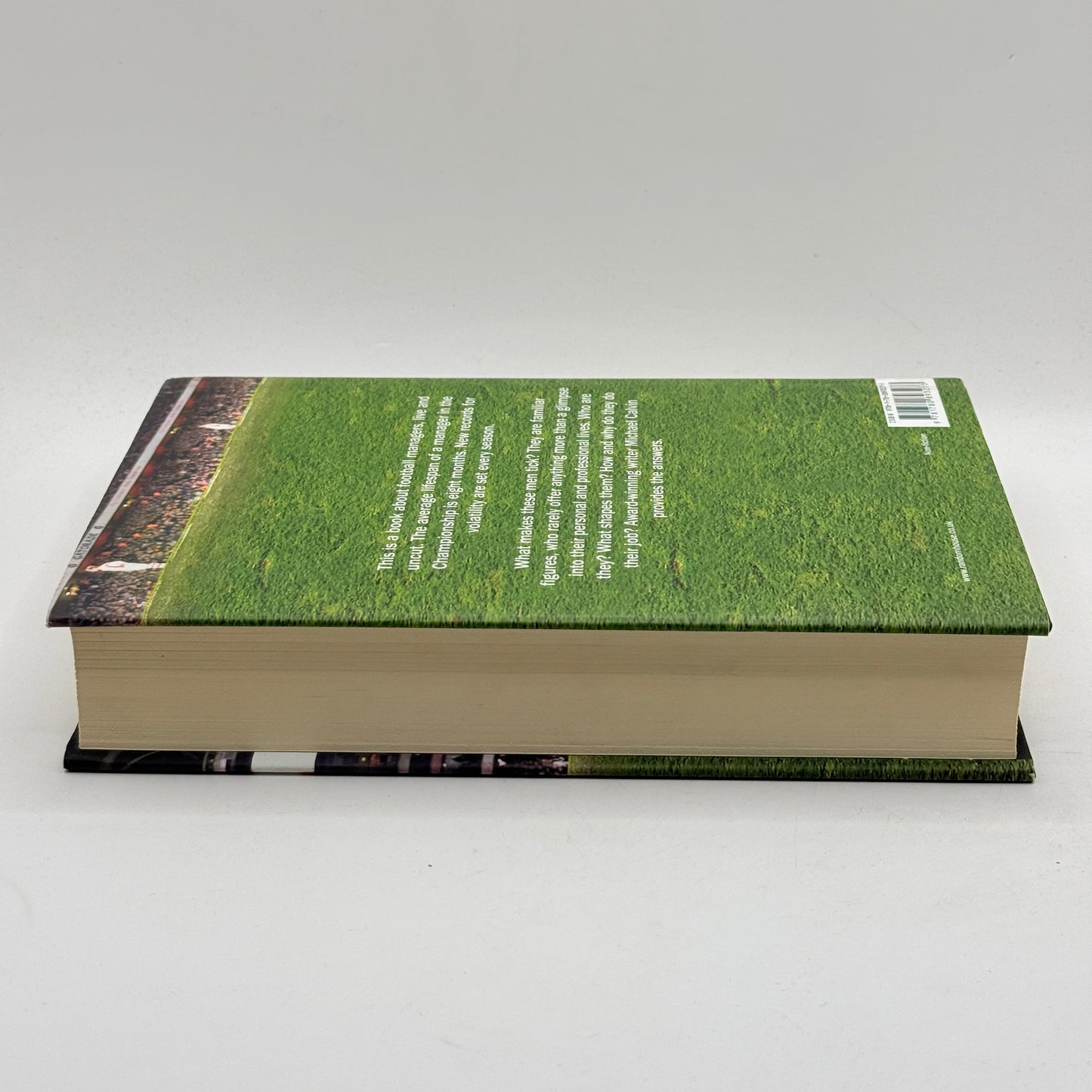 Living on the Volcano by Michael Calvin