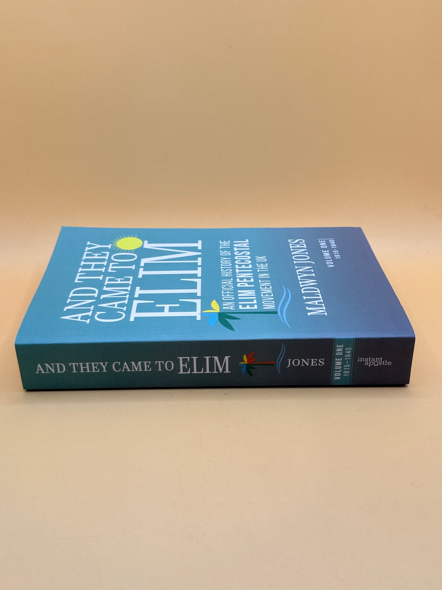 And They Came to Elim by Maldwyn Jones