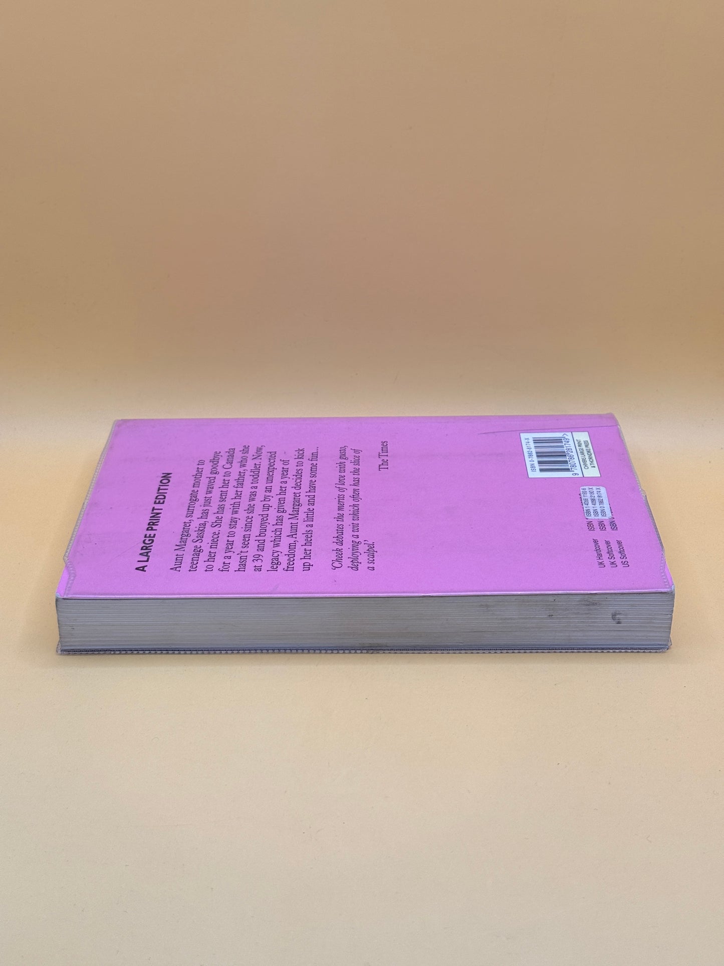 Aunt Margaret’s Lover by Mavis Cheek