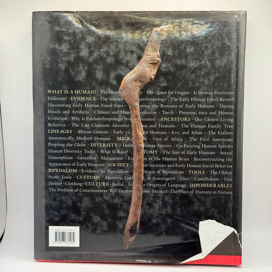 From Lucy to Language by Donald Johanson and Blake Edgar