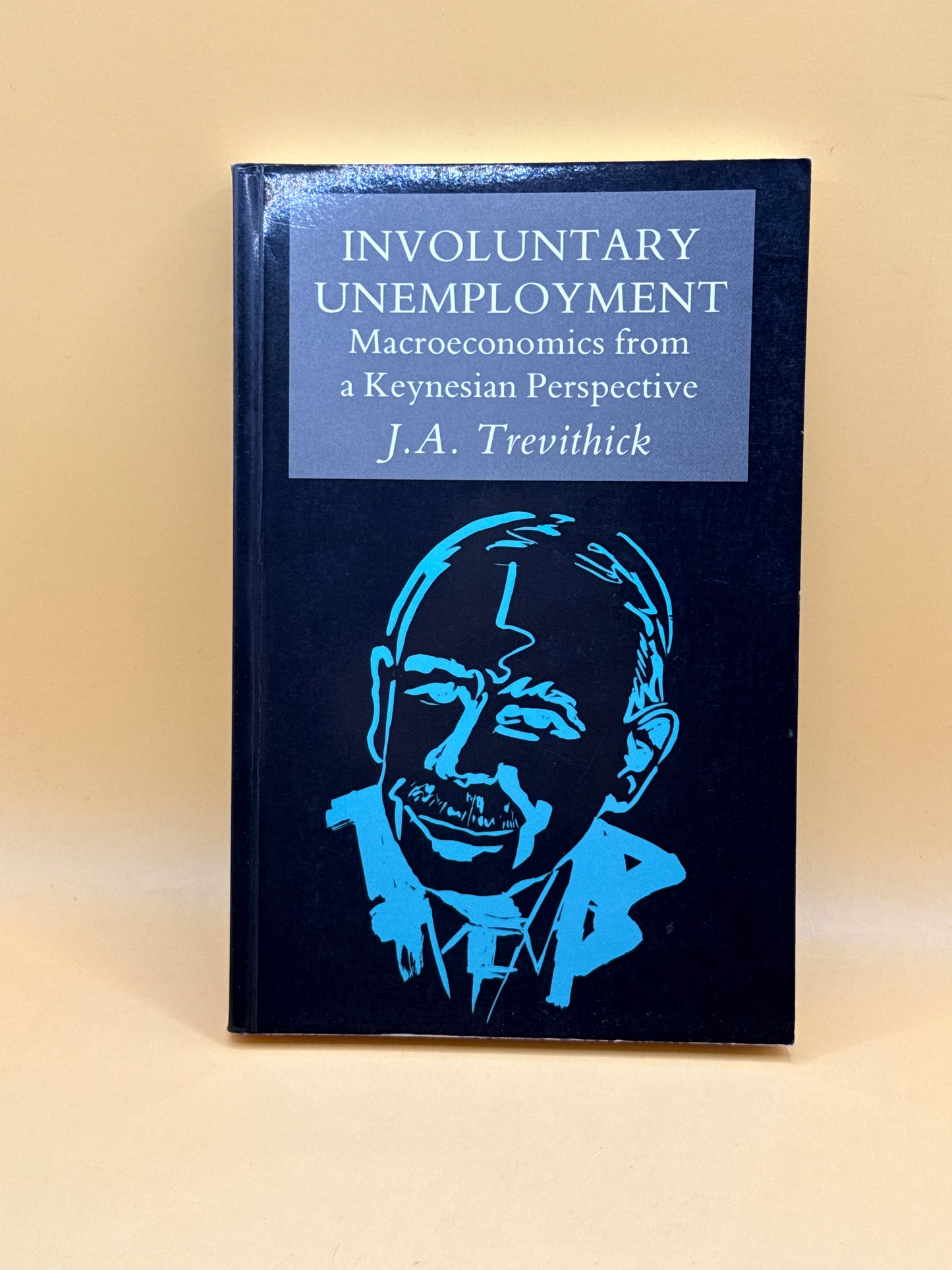 Involuntary Unemployment: Macroeconomics from a Keynesian Perspective by J. A. Trevithick