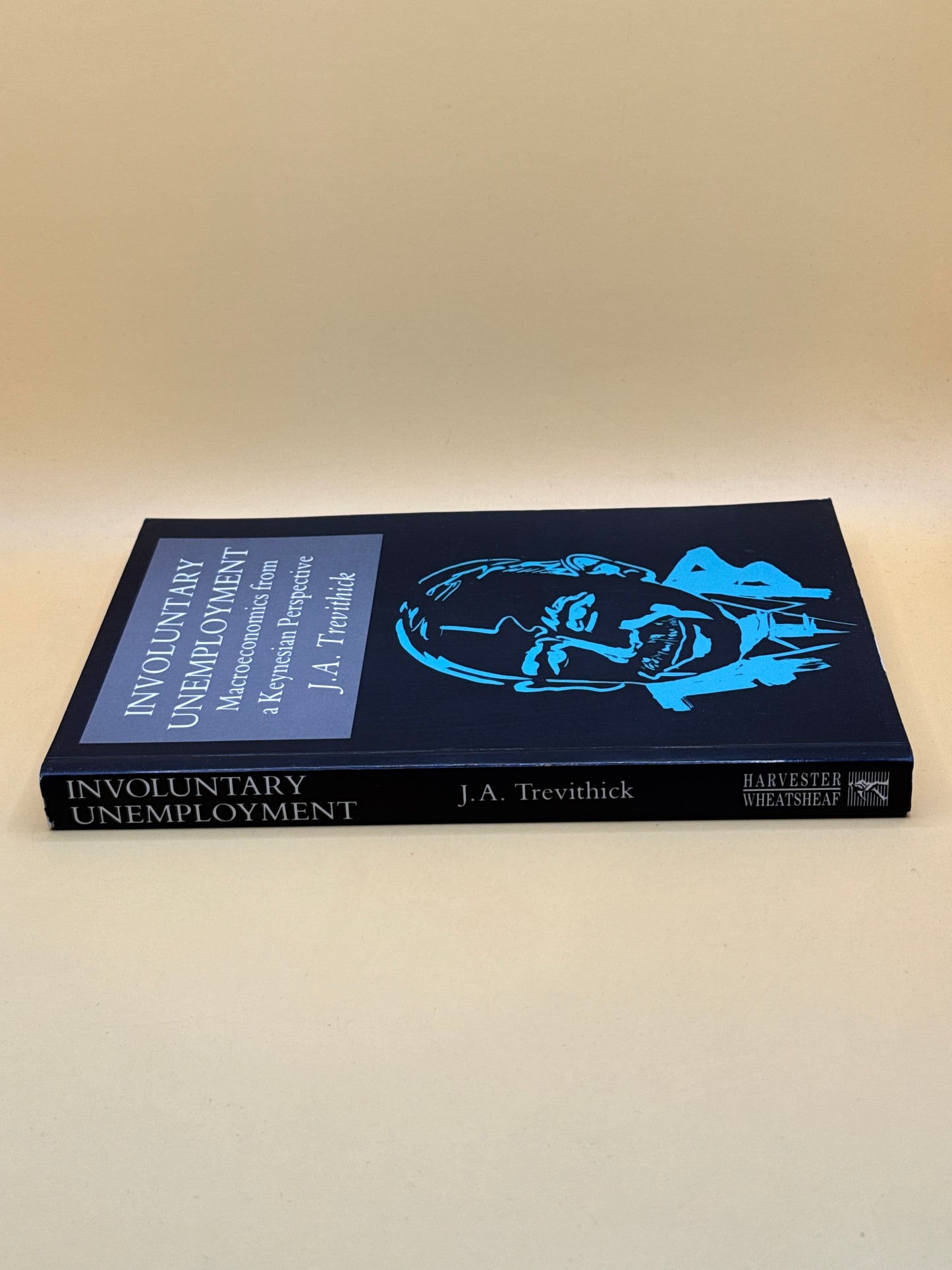 Involuntary Unemployment: Macroeconomics from a Keynesian Perspective by J. A. Trevithick