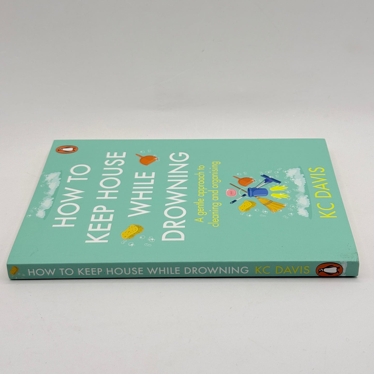 How to Keep House While Drowning by KC Davis