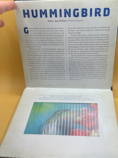 Birds: A Photicular Book by Dan Kainen & Mara Grunbaum