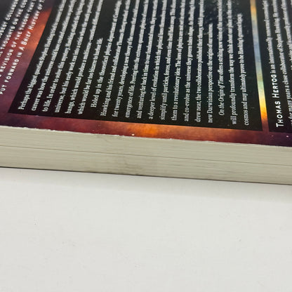 On the Origin of Time by Thomas Hertog