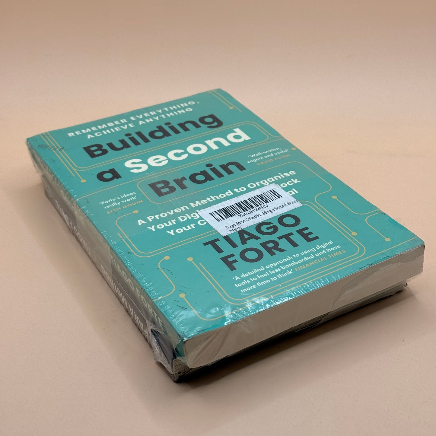 Building a Second Brain and The PARA Method by Tiago Forte