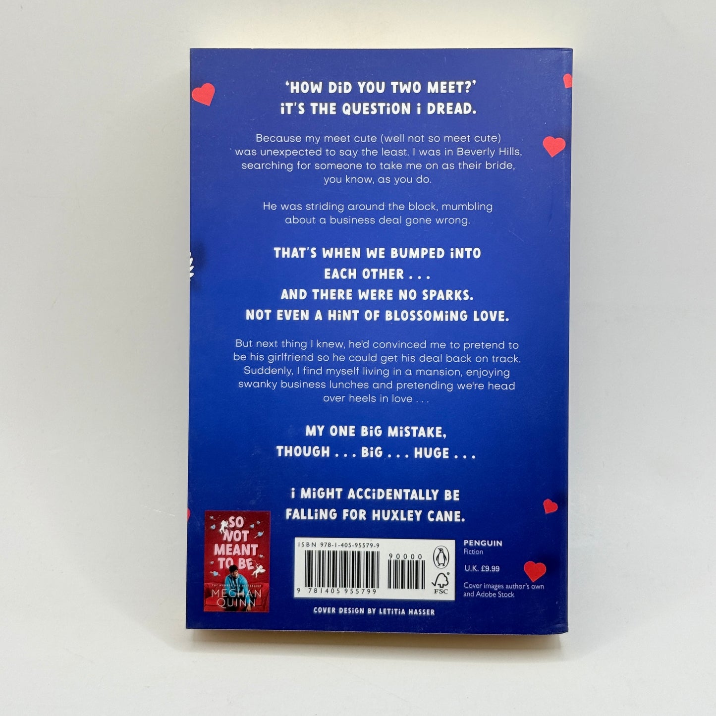 A Not So Meet Cute by Meghan Quinn