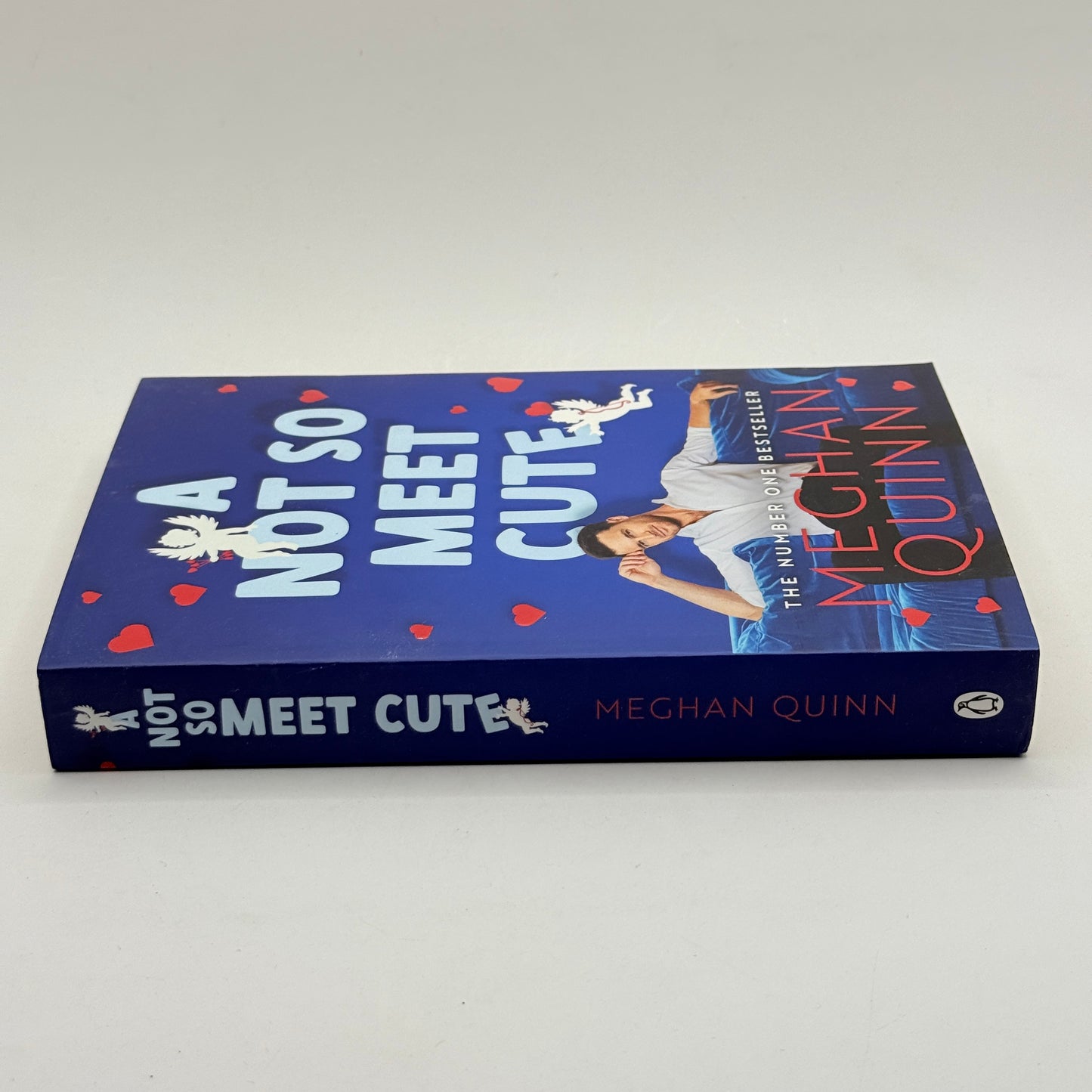 A Not So Meet Cute by Meghan Quinn