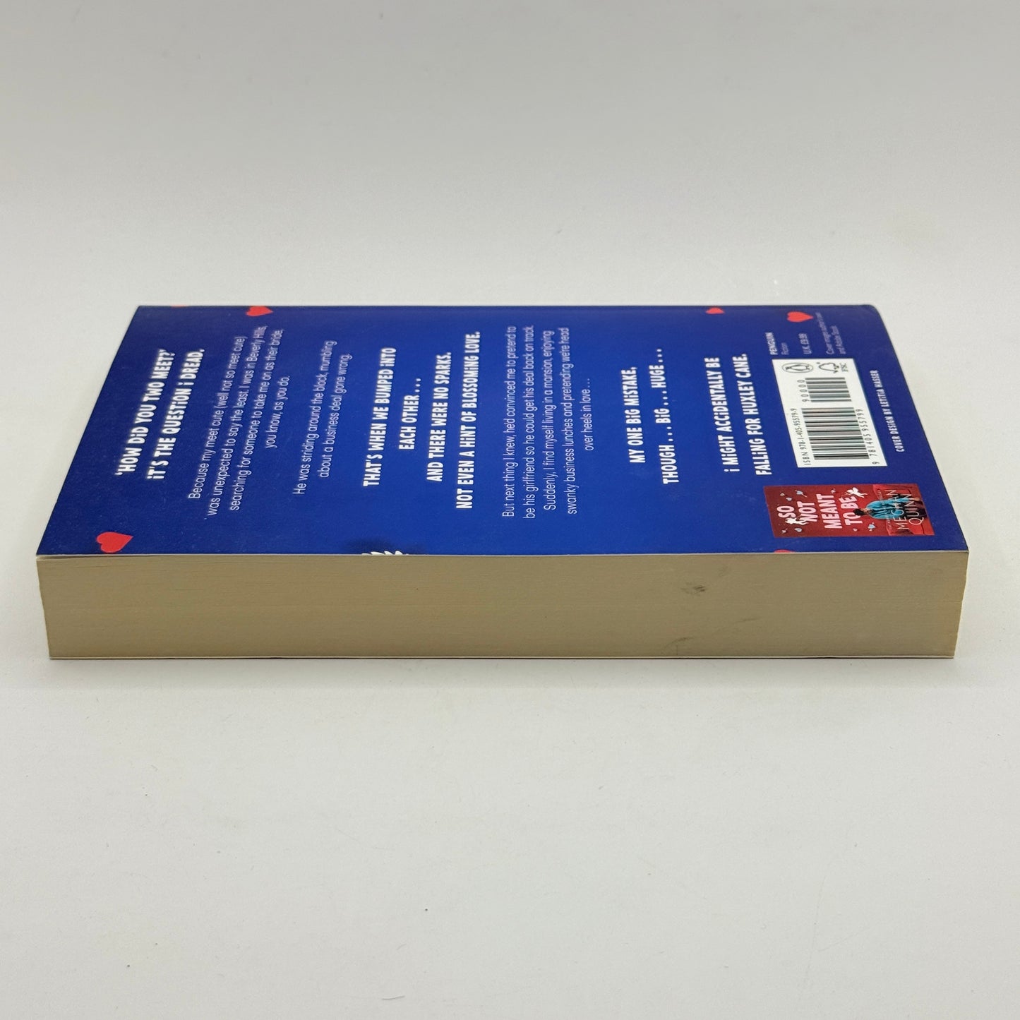 A Not So Meet Cute by Meghan Quinn