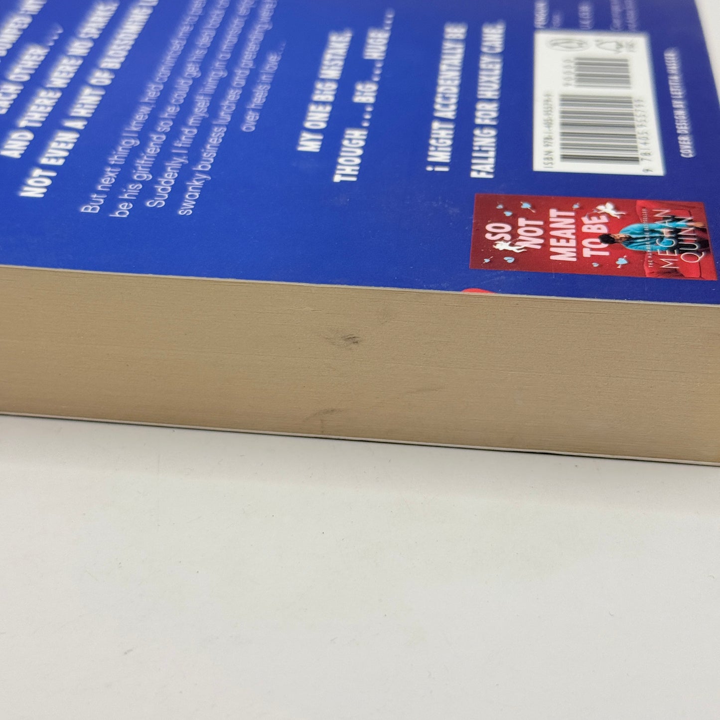 A Not So Meet Cute by Meghan Quinn