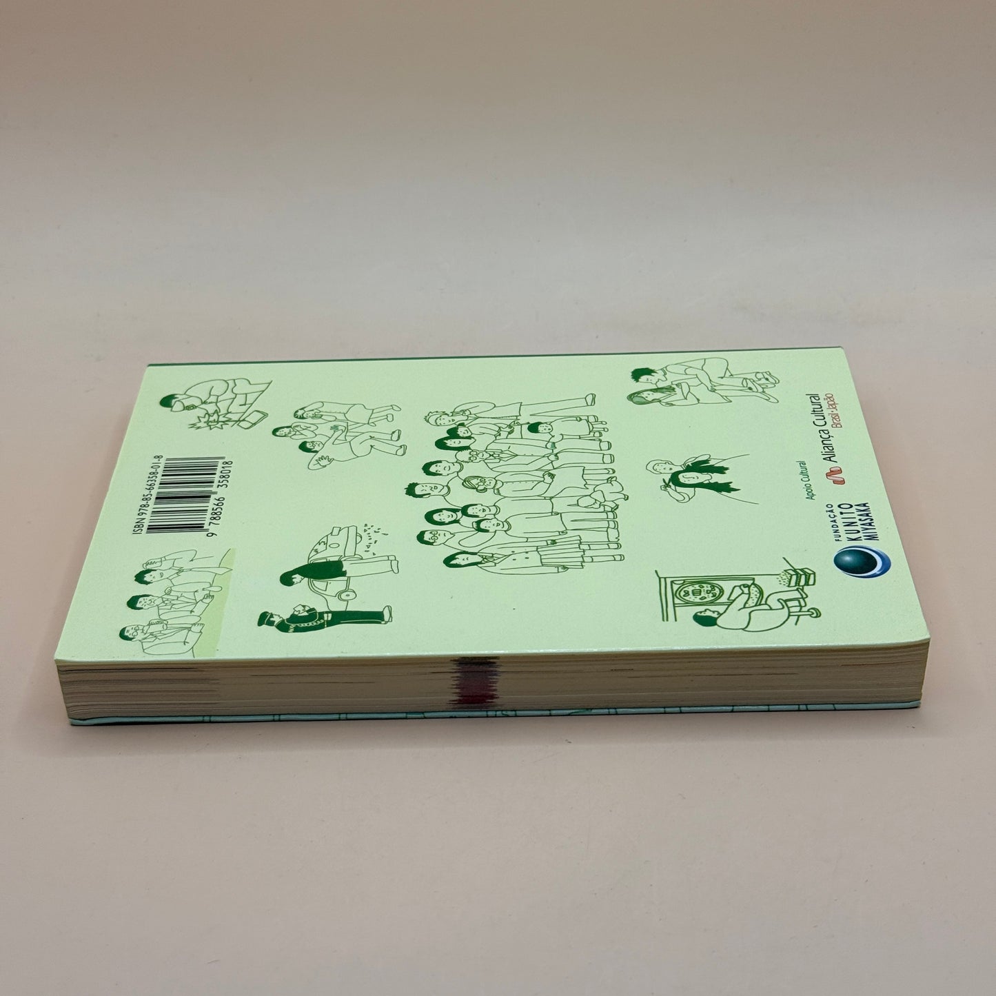 O Jeitinho no Japão para os Brasileiros by Makiko Matsuda & Tiago Sales Pinto (Brazilian)