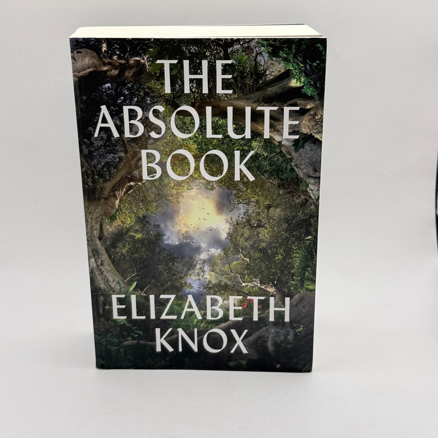 The Absolute Book by Elizabeth Knox