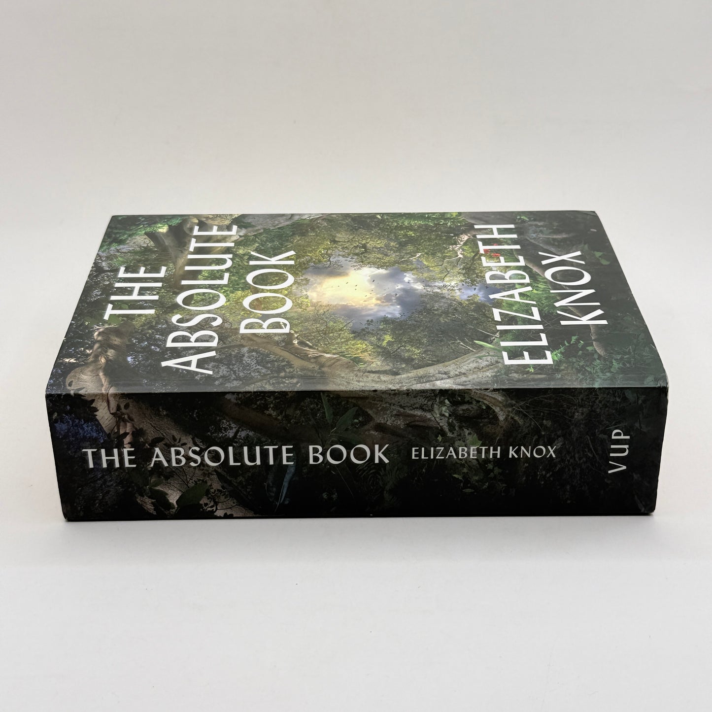 The Absolute Book by Elizabeth Knox