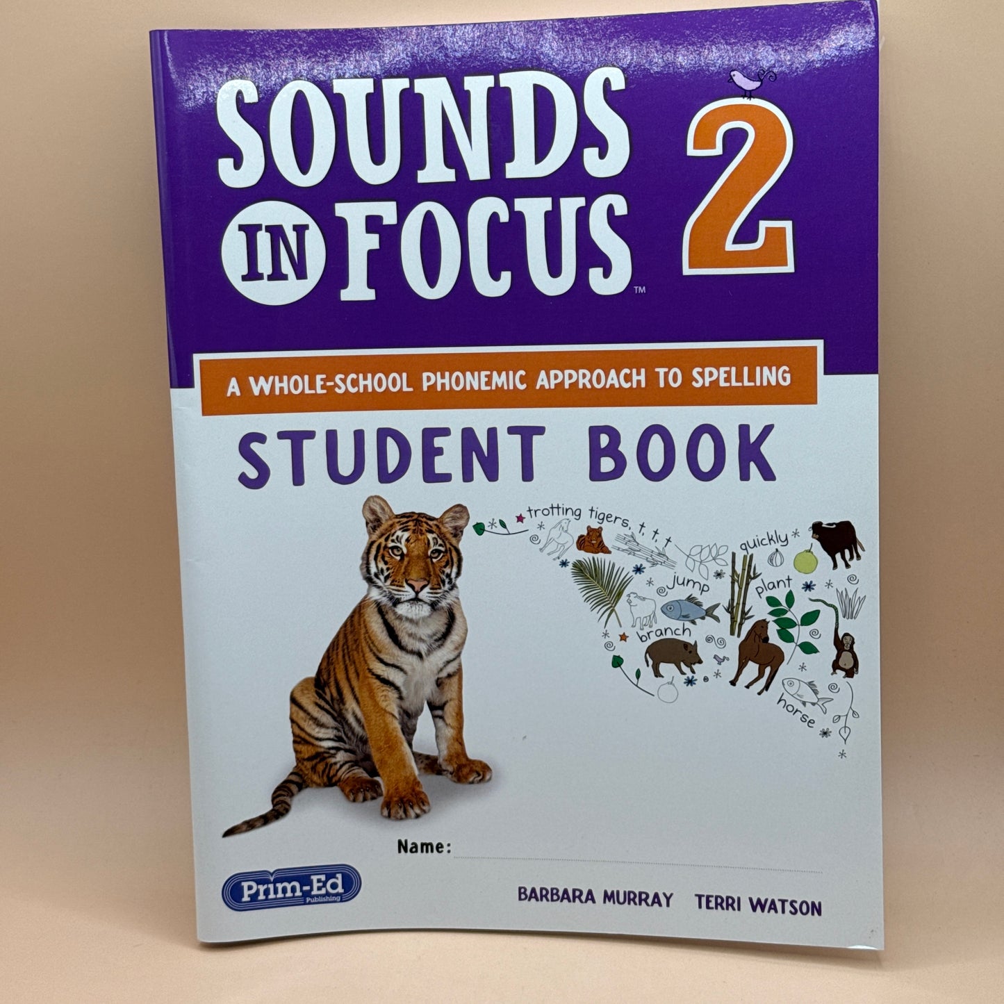 Sounds in Focus 2 by Barbara Murray and Terri Watson