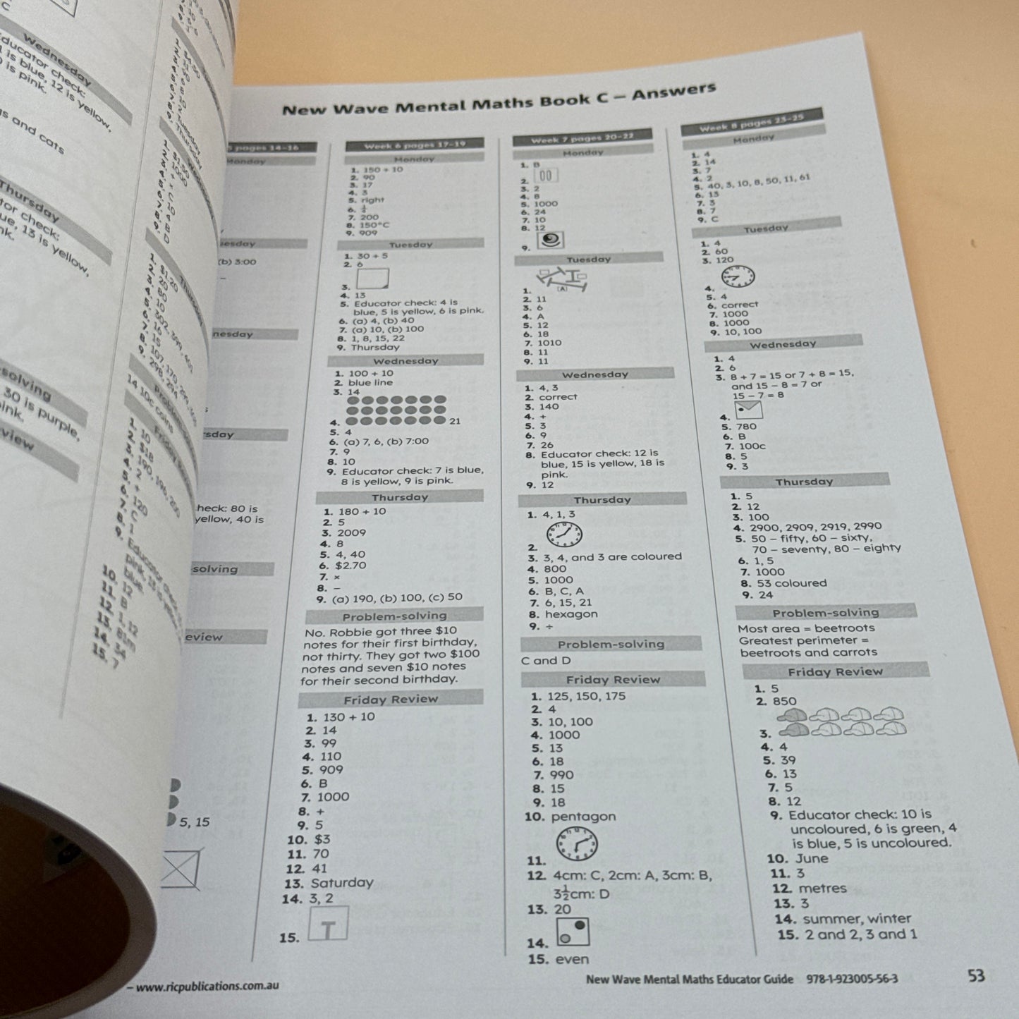 New Wave Mental Maths Educator Guide by R.I.C. Publications