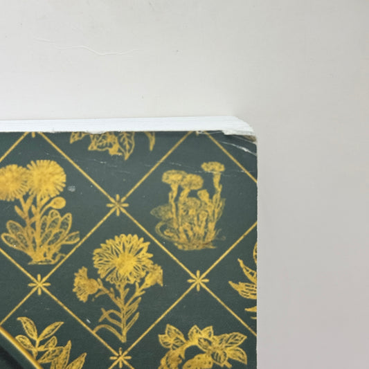 The Lost Book of Herbal Remedies by Nicole Apelian & Claude Davis