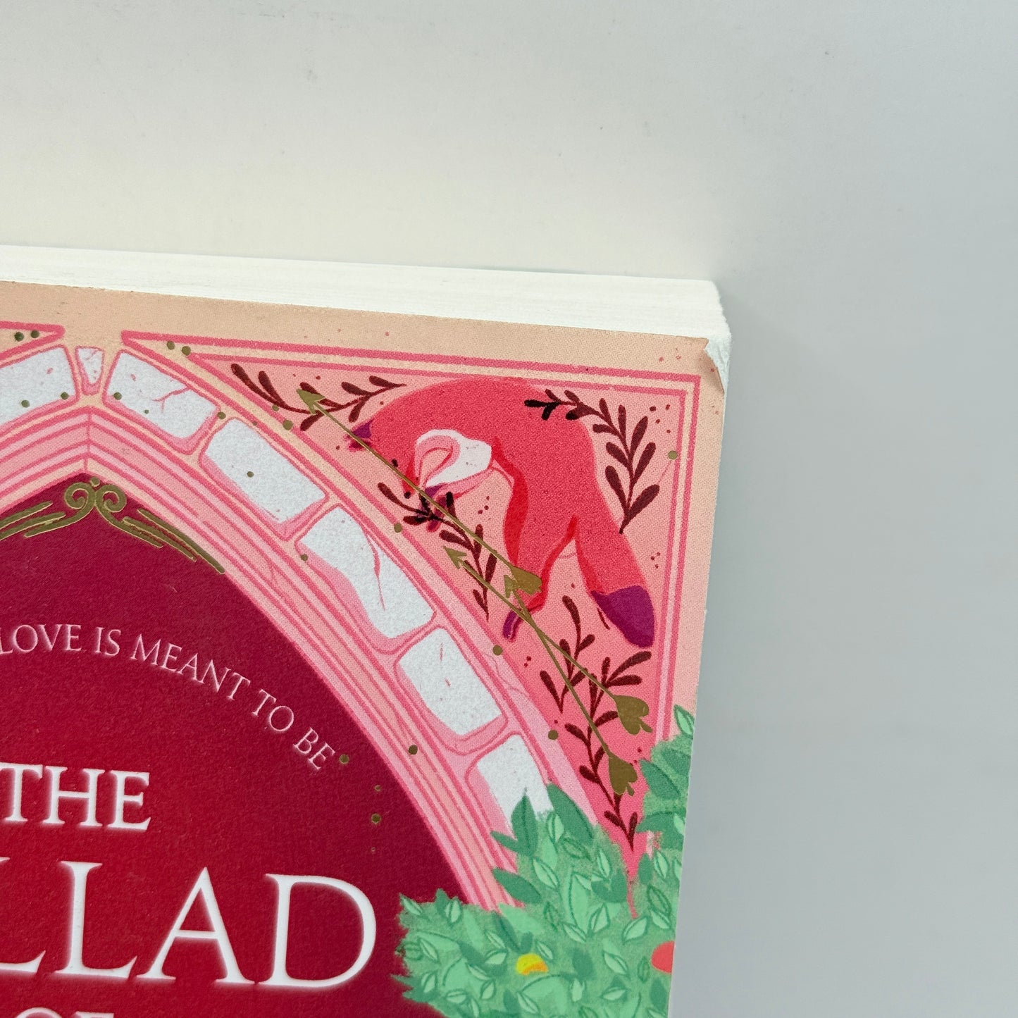 The Ballad of Never After by Stephanie Garber