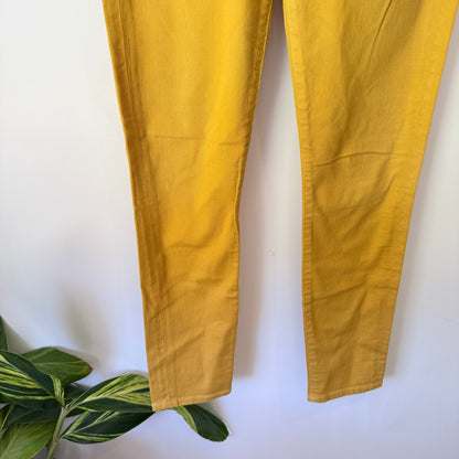 Citizens of Humanity Thompson Skinny Jeans (Size 27)