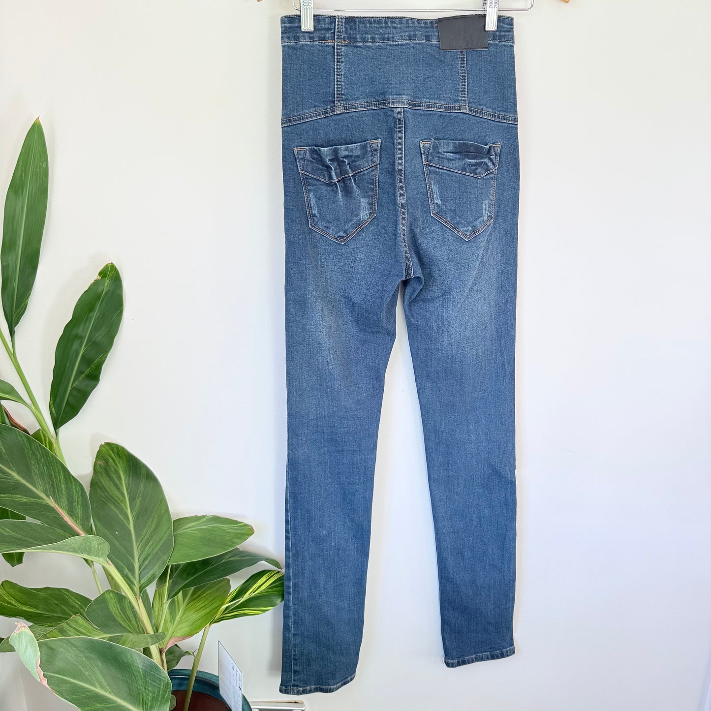 DISH High-Waisted Skinny Jeans – Multi-Button Fly, Size 28